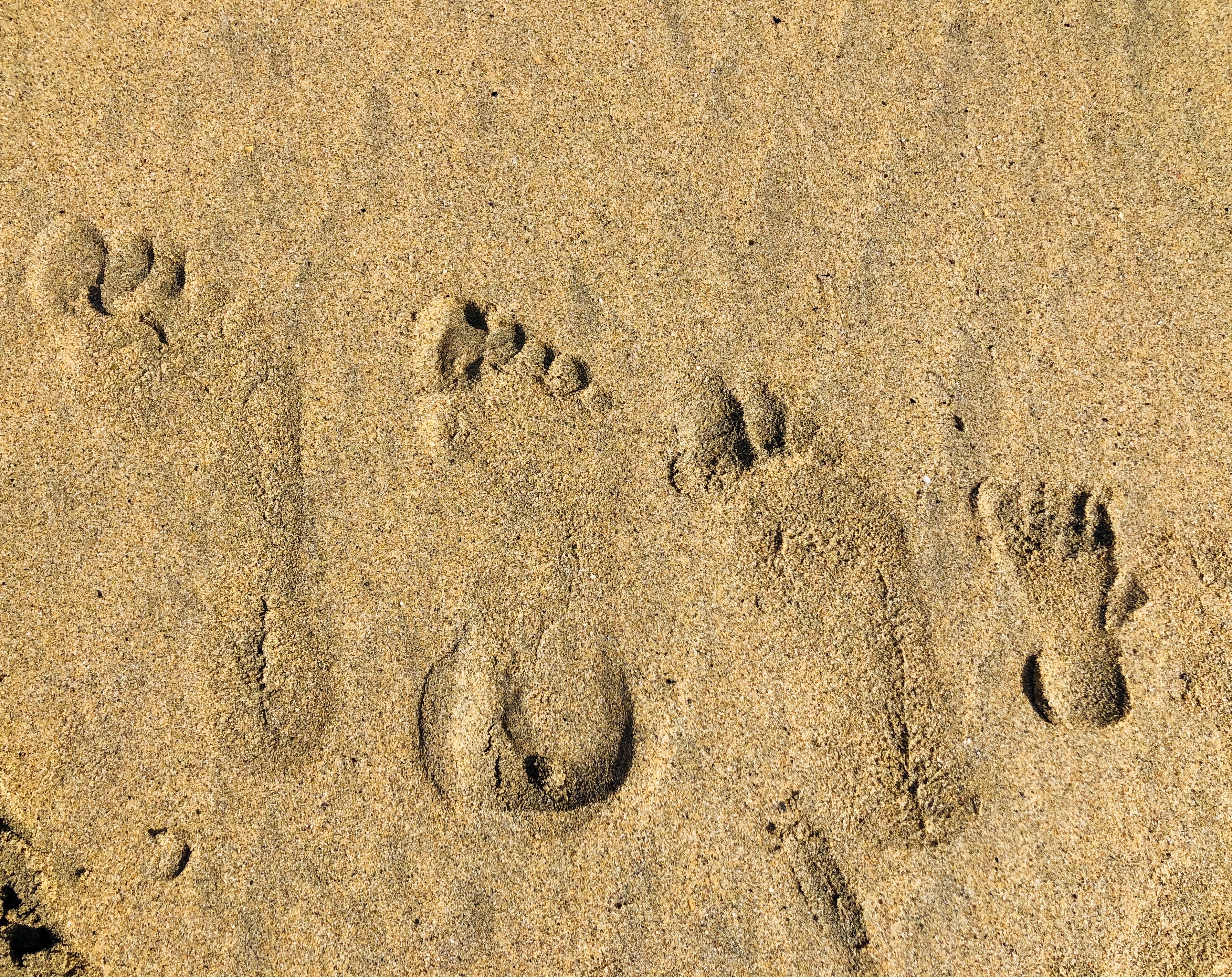Cornwall footprints in the sand beach 
